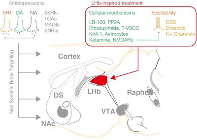 Lateral Habenula Gone Awry in Depression: Bridging Cellular Adaptations With Therapeutics